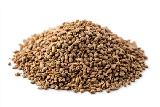 Closeup of Dried Celery Seeds Ready for Planting Against a Clean White Background