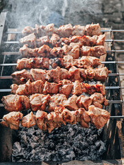A skewer of shashlik meat is being cooked on a grill