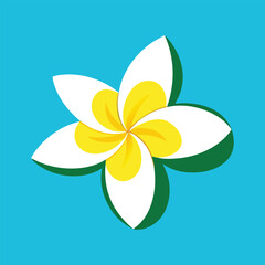 Vector tropical plant Plumeria flowers