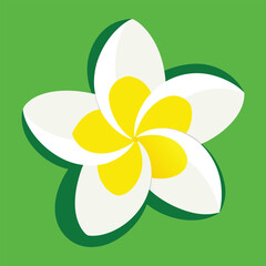 Vector tropical plant Plumeria flowers