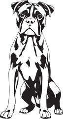 Boxer dog. Hand drawn vector illustration