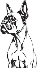 Boxer dog. Hand drawn vector illustration