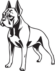 Boxer dog. Hand drawn vector illustration