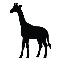 giraffe vector illustration