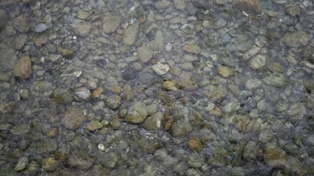 Immerse yourself in the gentle and hypnotic flow of a mountain river. Polished pebbles and clear water blend in an aquatic dance captured in slow motion.