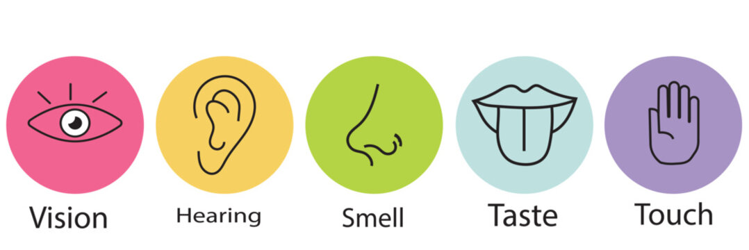 Five senses of human nervous system vector illustration. Vision through eye, smell with nose, taste with tongue line icon set.  Variety Design 5 Five senses.