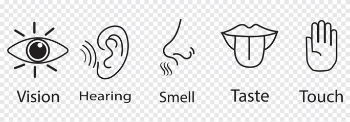 Five senses of human nervous system vector illustration. Vision through eye, smell with nose, taste with tongue line icon set.  Variety Design 5 Five senses.