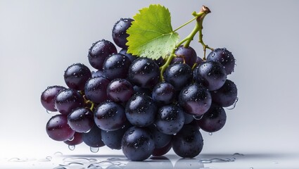 Fototapeta premium Isolated blue grapes with grape leaf and droplets on background.