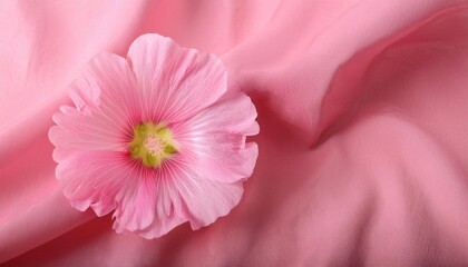 Pink Hollyhock Flower on a Draped Soft Pink Silk Fabric