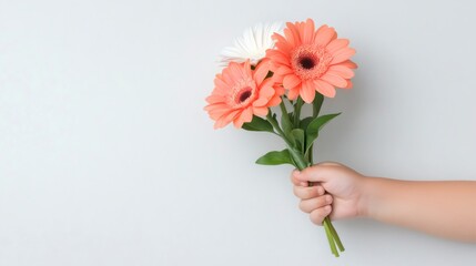 Child's hand holding a bouquet of vibrant gerbera flowers, symbolizing love and appreciation on mother's day, against a minimalist gray backdrop with copy space