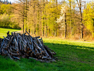 Unterstand für Brennholz 