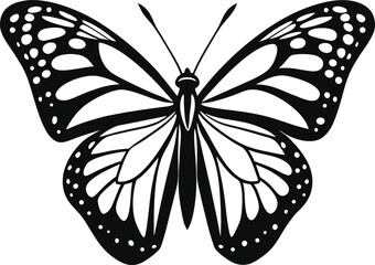 black butterfly isolated on white