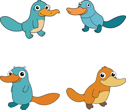 Cute platonia cartoon vector