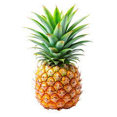 Fototapeta premium Whole pineapple showcasing natural texture and bright colors, perfect for summer, tropical, and fruit based designs.