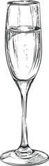 A detailed illustration of a champagne glass filled with sparkling beverage.