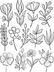 A collection of hand-drawn floral and leaf illustrations in a minimalist line art style.