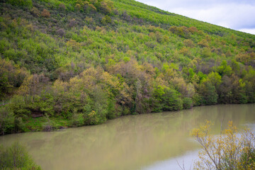 Serene lake surrounded by lush dense forested hill. Tranquil water body with trees in the background. Natural landscape concept