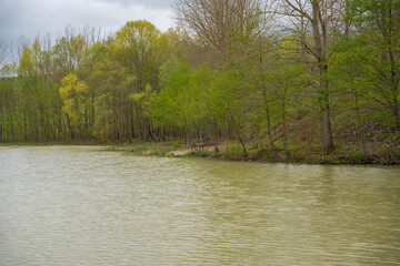 Tranquil Lakeside with Early Spring Foliage. Bench by a Quiet Lake Surrounded by Budding Trees. Still Waters on a Cloudy Day
