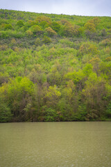 Serene lake surrounded by lush dense forested hill. Tranquil water body with trees in the background. Natural landscape concept