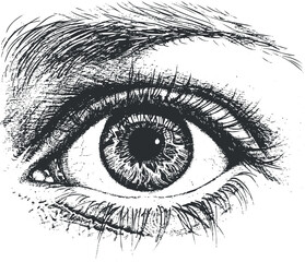 Obraz premium A detailed black and white sketch of a human eye showcasing intricate lines and textures.