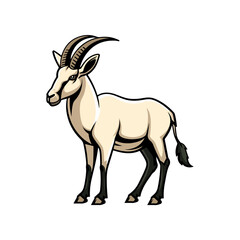 Elegant Oryx Antelope Illustration Wildlife Art Print