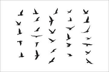 Obraz premium Bird Silhouette Bundle | Flying Birds Vector Clipart | SVG, PNG, EPS for Cricut & Laser CuttingBirds Vector Silhouettes | Wildlife Animal SVG Files | Digital Bird Clipart for Crafts & DecorFlying 