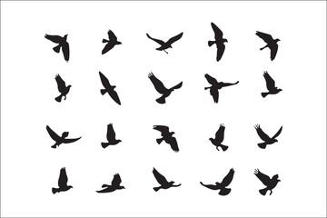 Bird Silhouette Bundle | Flying Birds Vector Clipart | SVG, PNG, EPS for Cricut & Laser Cutting

Birds Vector Silhouettes | Wildlife Animal SVG Files | Digital Bird Clipart for Crafts & Decor

Flying 