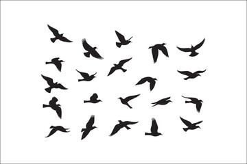 Bird Silhouette Bundle | Flying Birds Vector Clipart | SVG, PNG, EPS for Cricut & Laser Cutting

Birds Vector Silhouettes | Wildlife Animal SVG Files | Digital Bird Clipart for Crafts & Decor

Flying 