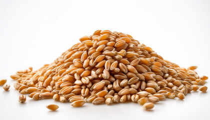 Obraz premium pile of wheat grains isolated on white background