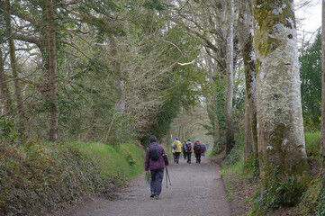 Groupe de randonneurs dans la campagne en Bretagne