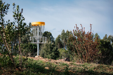 Yellow-Topped Disc Golf Basket Outdoors