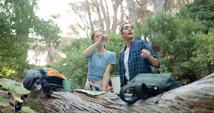 Women, friends and map in forest for hiking, journey and pointing in direction. People, coffee and chart in woods for navigation, discussion and search for location to explore nature with guide