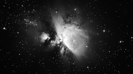 Predictive data models