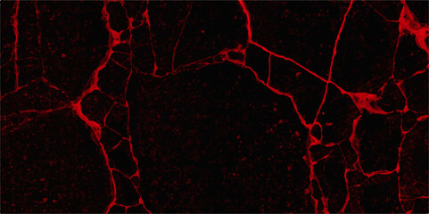 Abstract Digital Network Background, the concept of electronic connections in a digital world. Texture abstract background with noise texture. Massive lightning bolt with branches isolated on black.