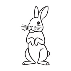 Little Rabbit Cartoon illustration Design, Bunny Vector, Bunny Illustration Art, Easter Bunny Art Cute Bunny ornament