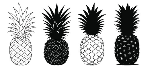 Obraz premium pineapple vector illustration silhouette black and white design