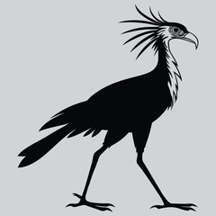 A  secretary bird standing tall  image silhouette vector art and illustration