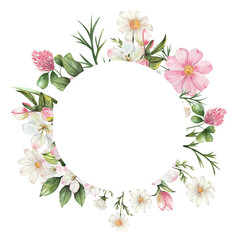 Watercolor round frame of wild field herbs flowers. Composition with delicate flowers, white, pink and green, apple tree branches. white background. Wedding, wallpaper, backgrounds, textures.
