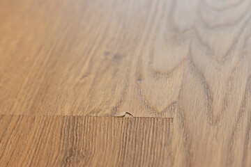 Close-up damaged laminate panels with a wood grain texture. At the joint between two laminate...
