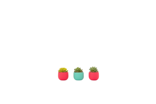 PNG of Colorful succulents in pink and teal pots, adding a vibrant touch to any indoor setting.