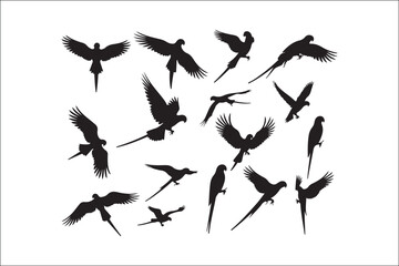 Obraz premium Bird Silhouette Bundle | Flying Birds Vector Clipart | SVG, PNG, EPS for Cricut & Laser CuttingBirds Vector Silhouettes | Wildlife Animal SVG Files | Digital Bird Clipart for Crafts & DecorFlying 