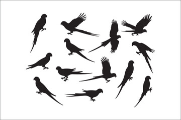 Obraz premium Bird Silhouette Bundle | Flying Birds Vector Clipart | SVG, PNG, EPS for Cricut & Laser CuttingBirds Vector Silhouettes | Wildlife Animal SVG Files | Digital Bird Clipart for Crafts & DecorFlying 