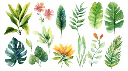 Flowers watercolor illustration.Manual composition.Big Set watercolor elements. illustration
