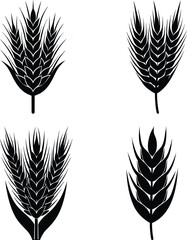 Obraz premium spelt silhouette vector