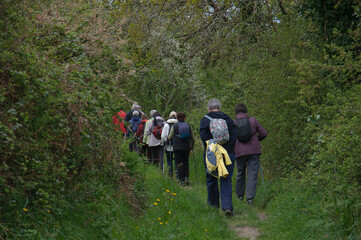 Groupe de randonneurs dans la campagne en Bretagne
