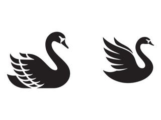 vector black swan