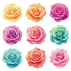 Illustration of nine brightly colored roses
