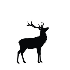 Standing Deer Silhouette With Antlers Facing Upward On A White Background