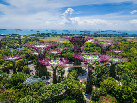 03 16 2025 - Singapore. Gardens by the Bay in Singapore. Botanical garden with supertree grove. Aerial drone view