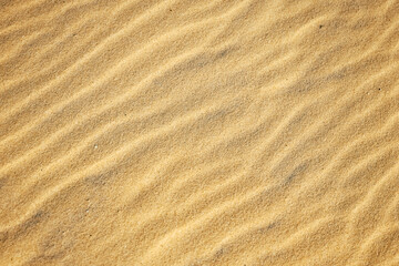 Sand texture closeup with natural ripple pattern on surface. Ideal for nature, travel, eco-friendly and minimalist design projects